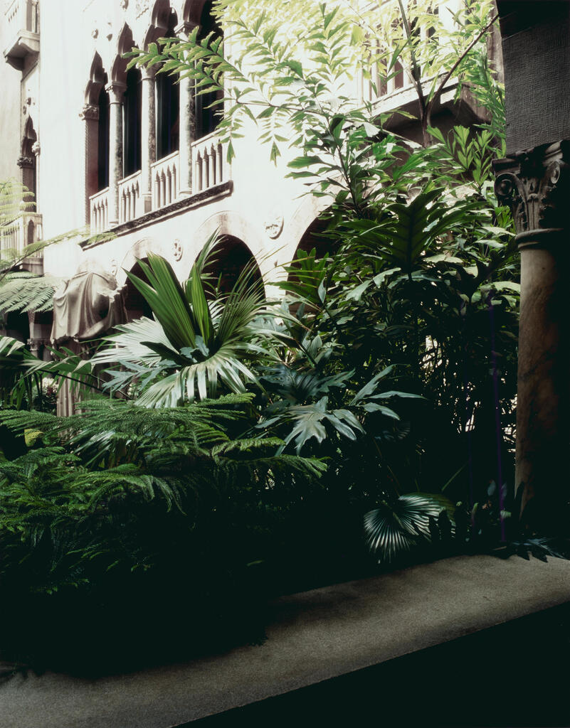 Untitled (Isabella Stewart Gardner Museum #23)