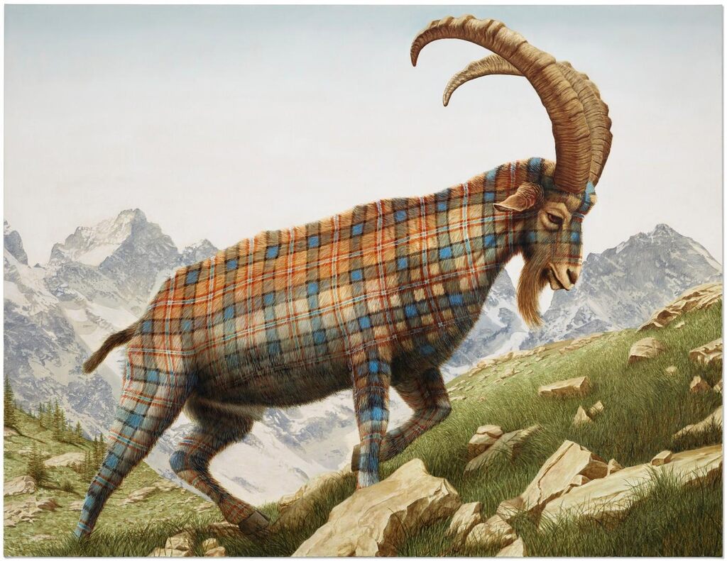 Ibex