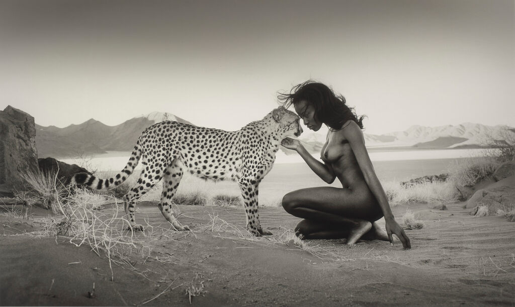 Trust, 148 wm, Vergenoeg, Namibia
