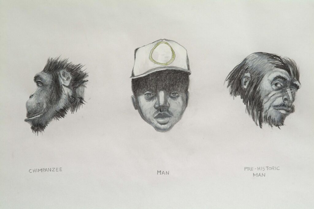 Chimpanzee, Man, Prehistoric Man