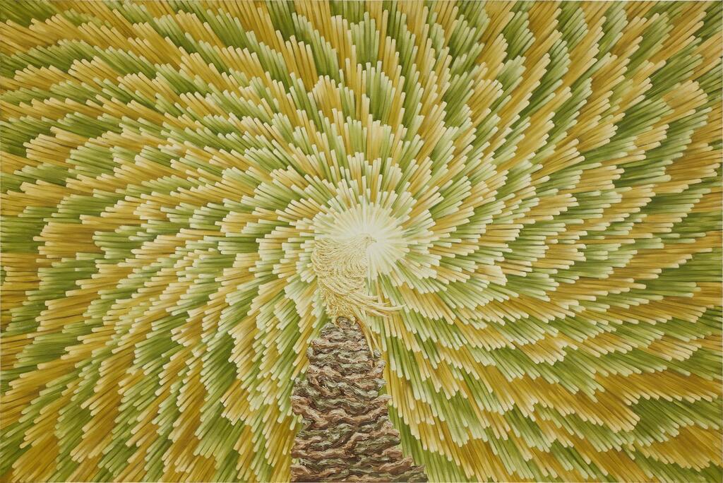 Supreme Elevation II