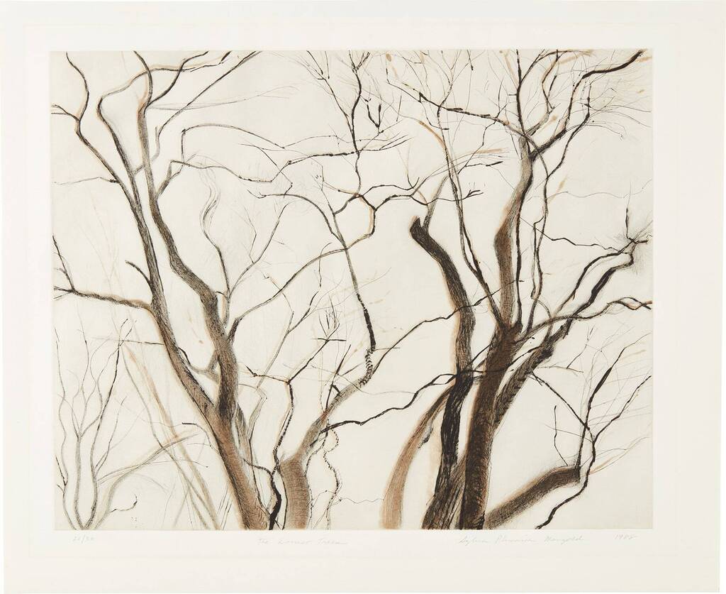 The Locust Trees (state II)