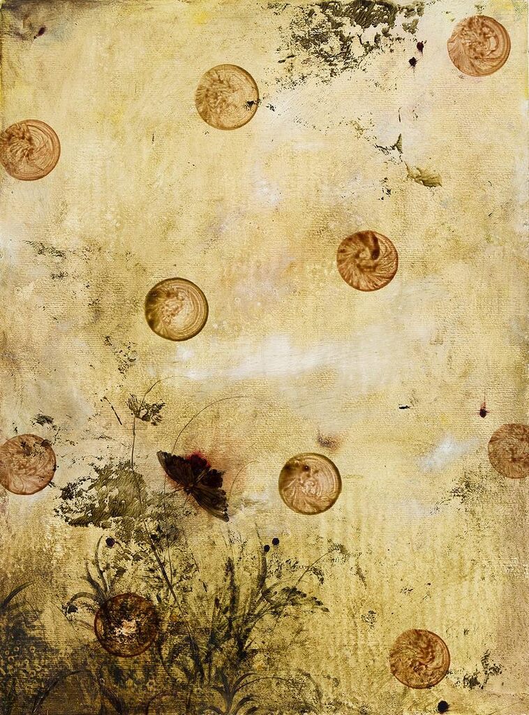 Untitled with Moth