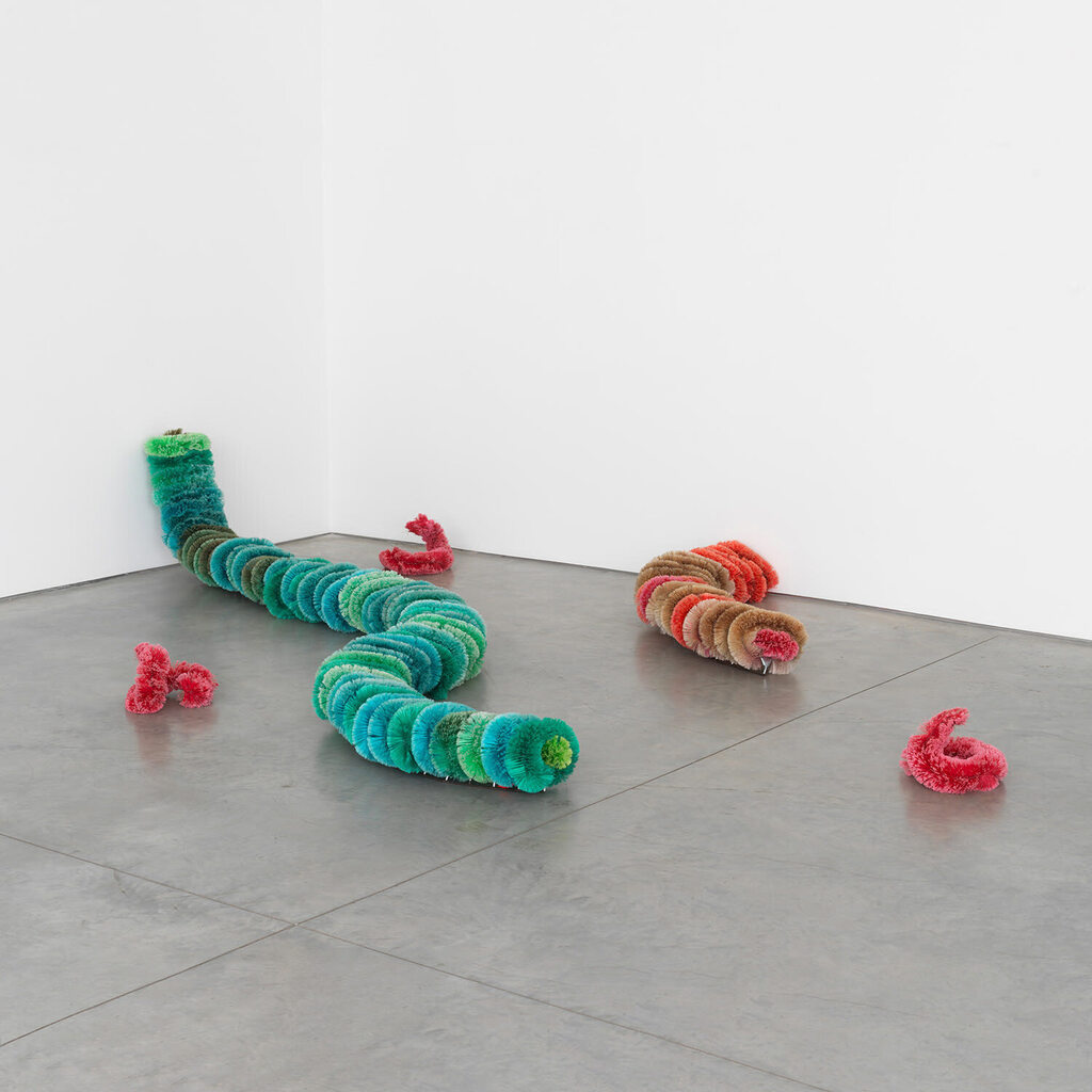 Cinque Bachi da setola