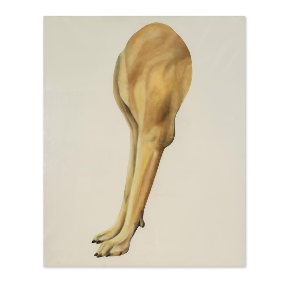 Pattes de chien