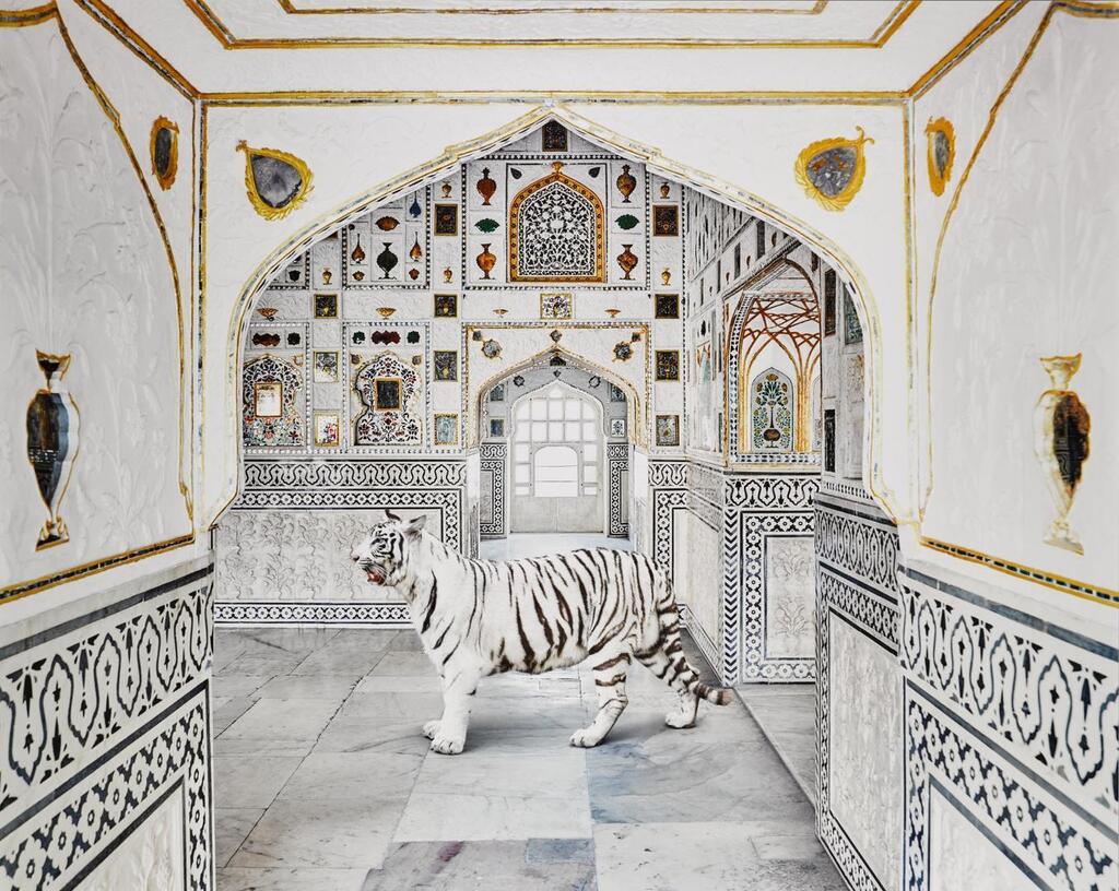 'Tiger Breath, Sheesh Mahal, Amer Fort' (from the series India Song)