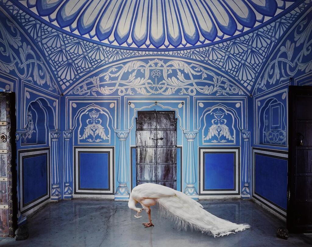 'Ganesha’s Mount, Chavi Niwas, Jaipur' (from the series India Song)
