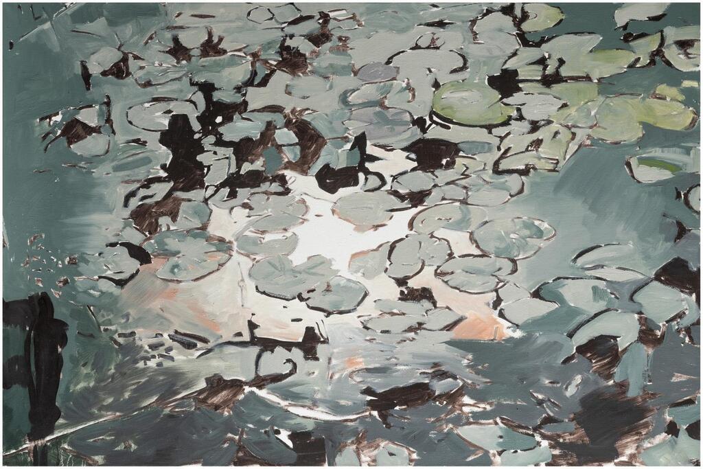 Water Lillies