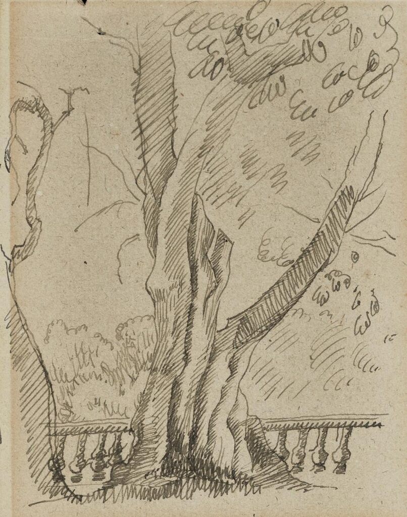Sur la terrasse à Grasse