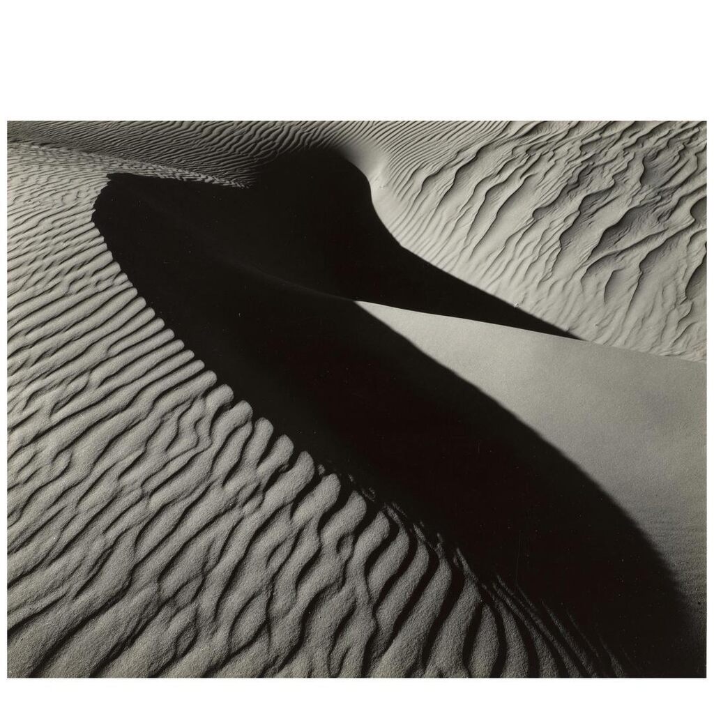 Untitled (Bird Dune, Oceano)