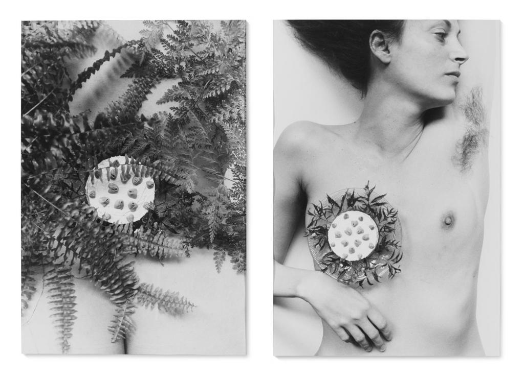 Breastplate