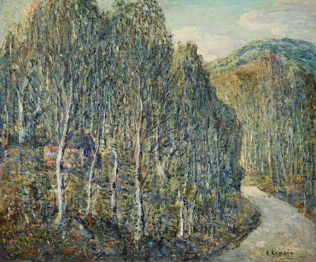 Birch Woods
