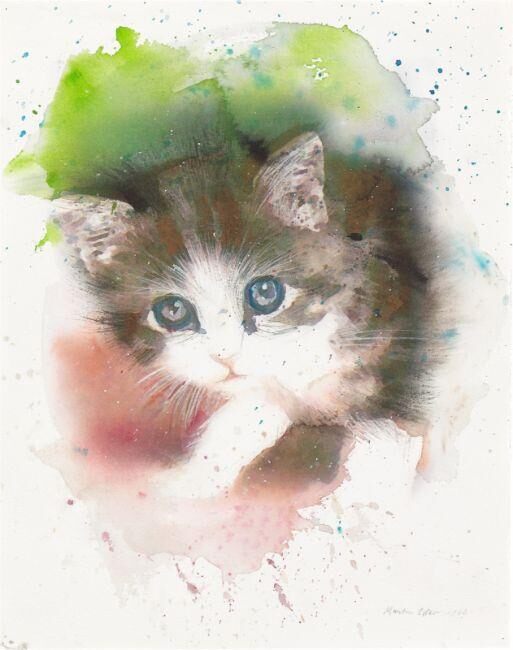 ”Cat”