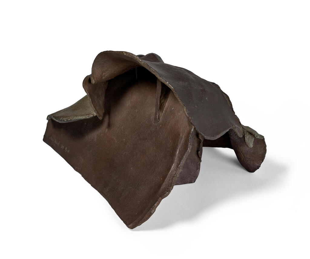 Head