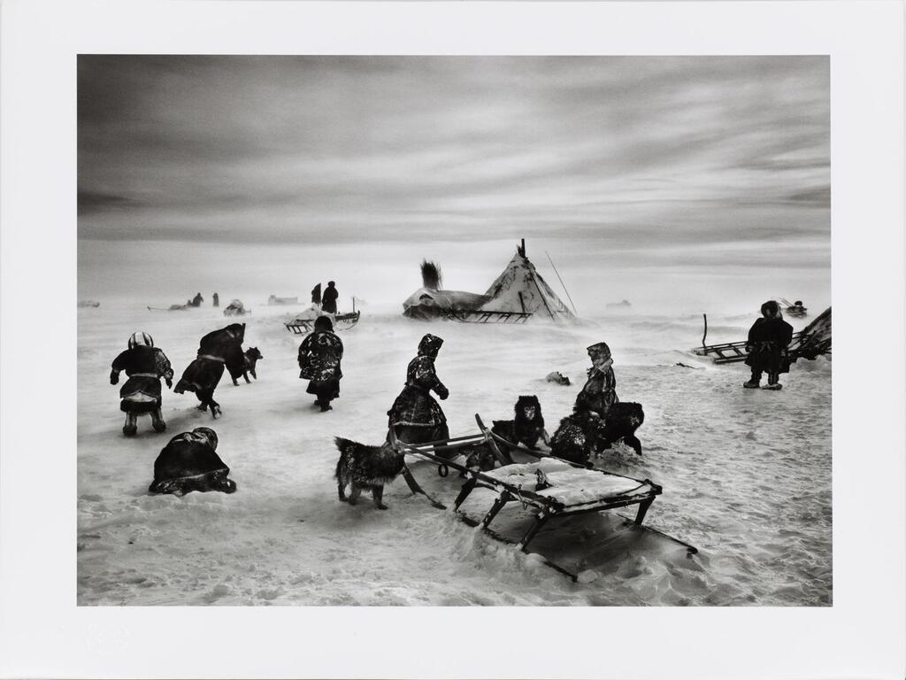 Nenet nomads Siberia, Russia