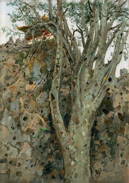 Wu Guanzhong, A Lacebark Pine Of The Former Imperial Palaces