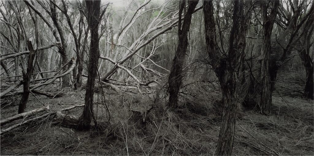 weather (Eden) #2
