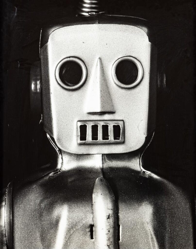 Valérie Belin, Robot