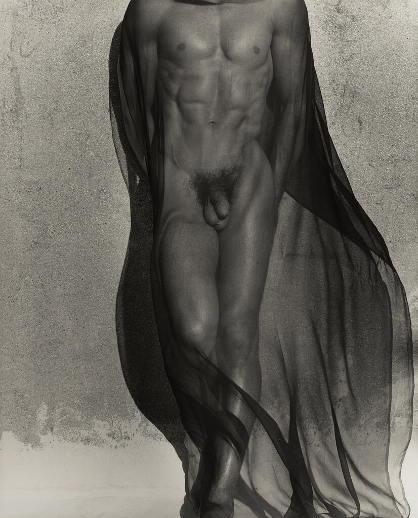 Male Torso with Veil (Full Length), Silverlake