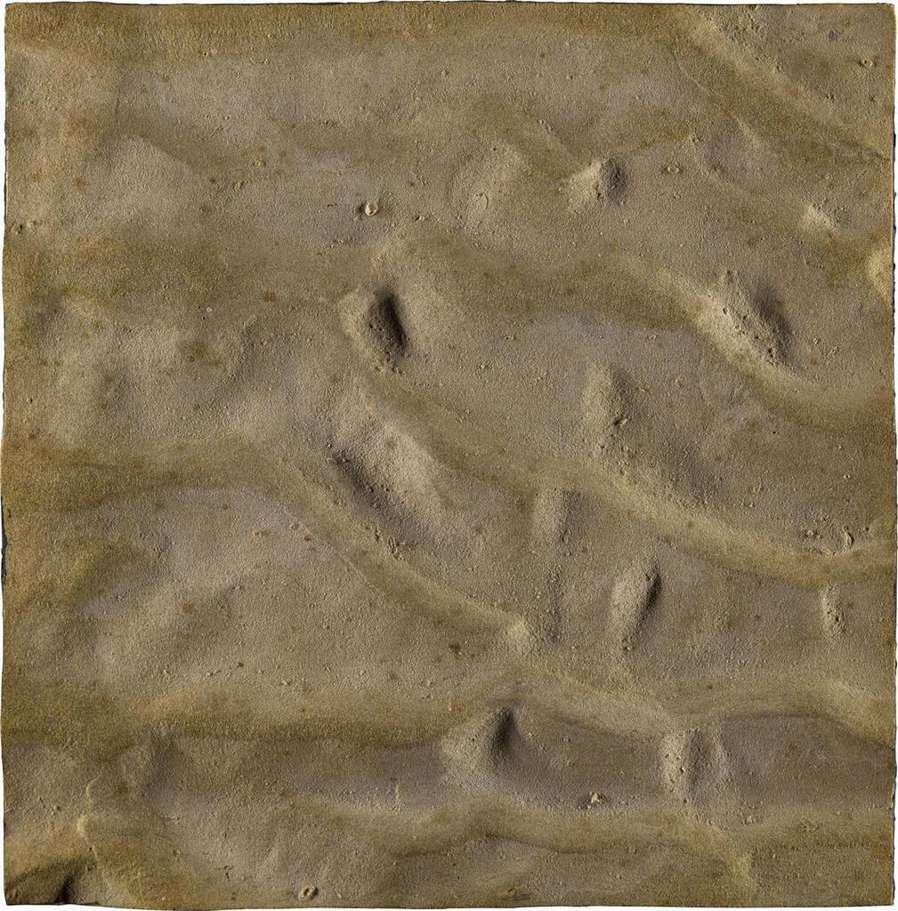 Untitled (Sand Study), Camber Sands