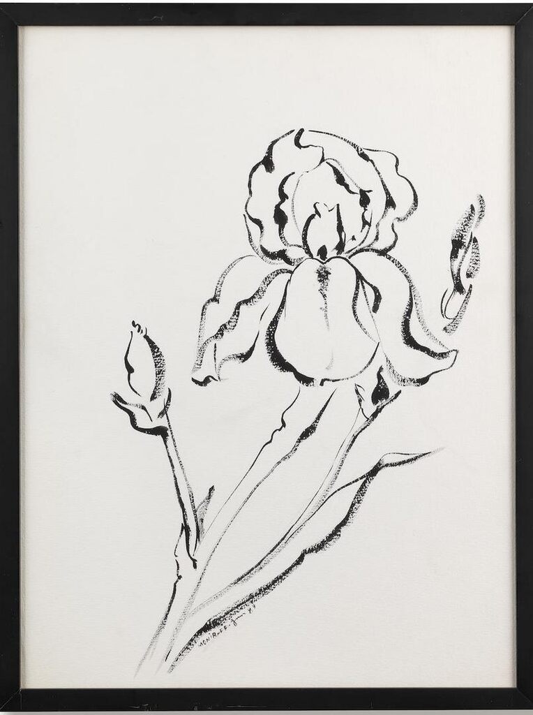 Iris