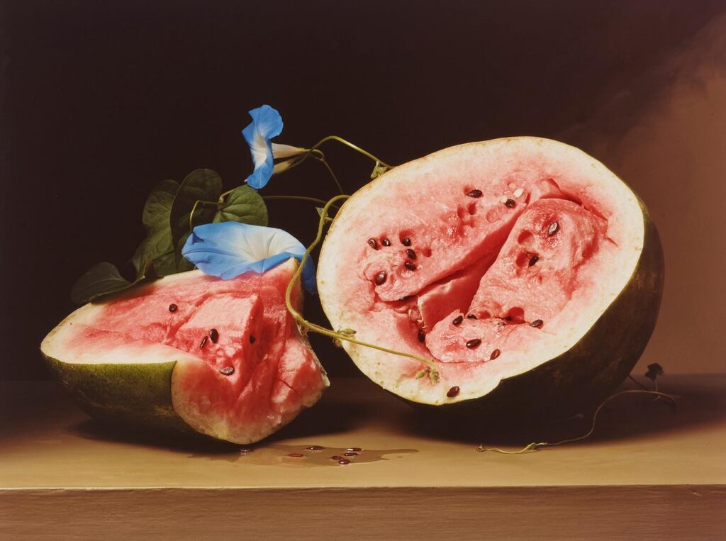 Early American, Melons and Morning Glories