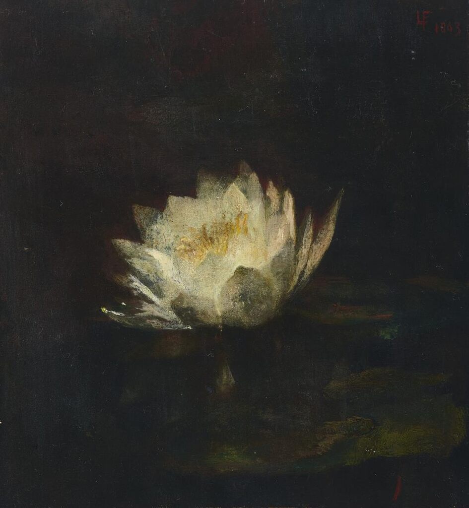 Water Lily
