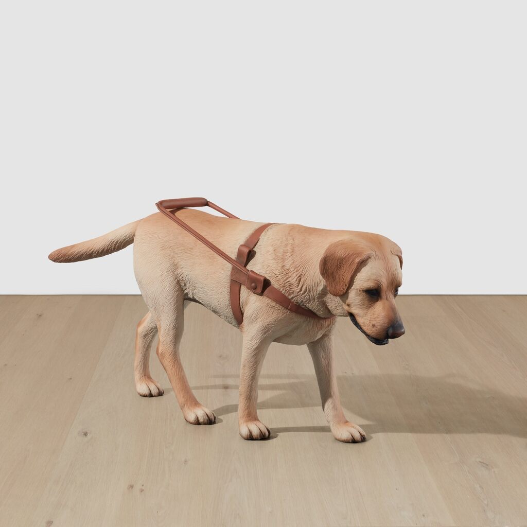 Stray Dog