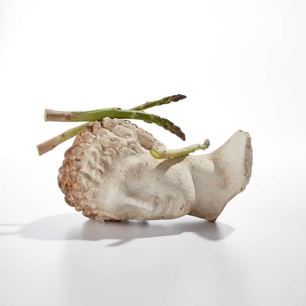 Asparagus Head