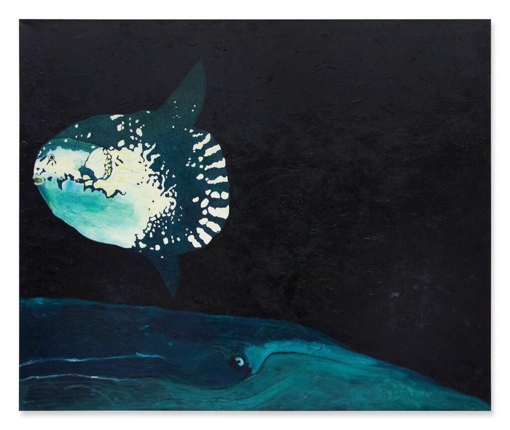 Pelagic Ocean Sunfish