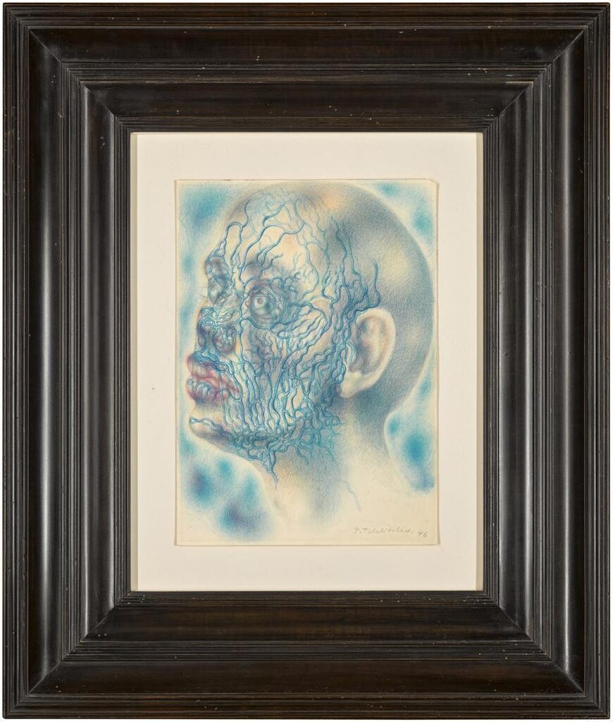 Anatomical Head