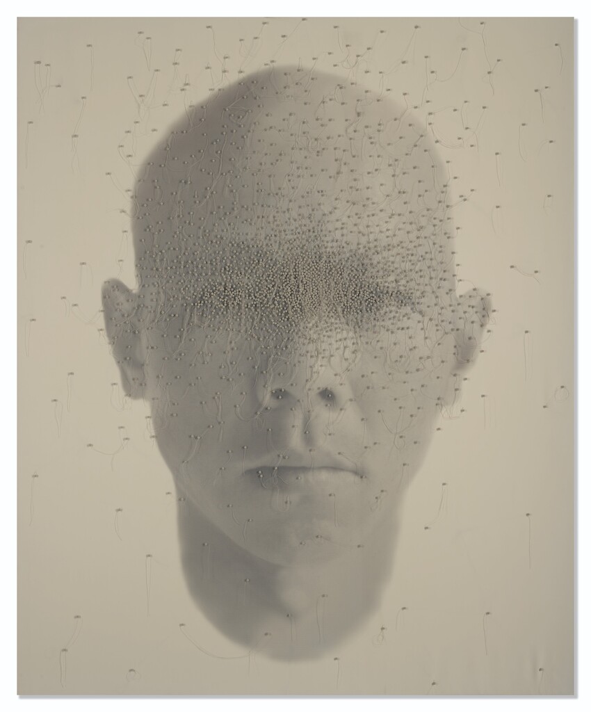 Focus No. 24