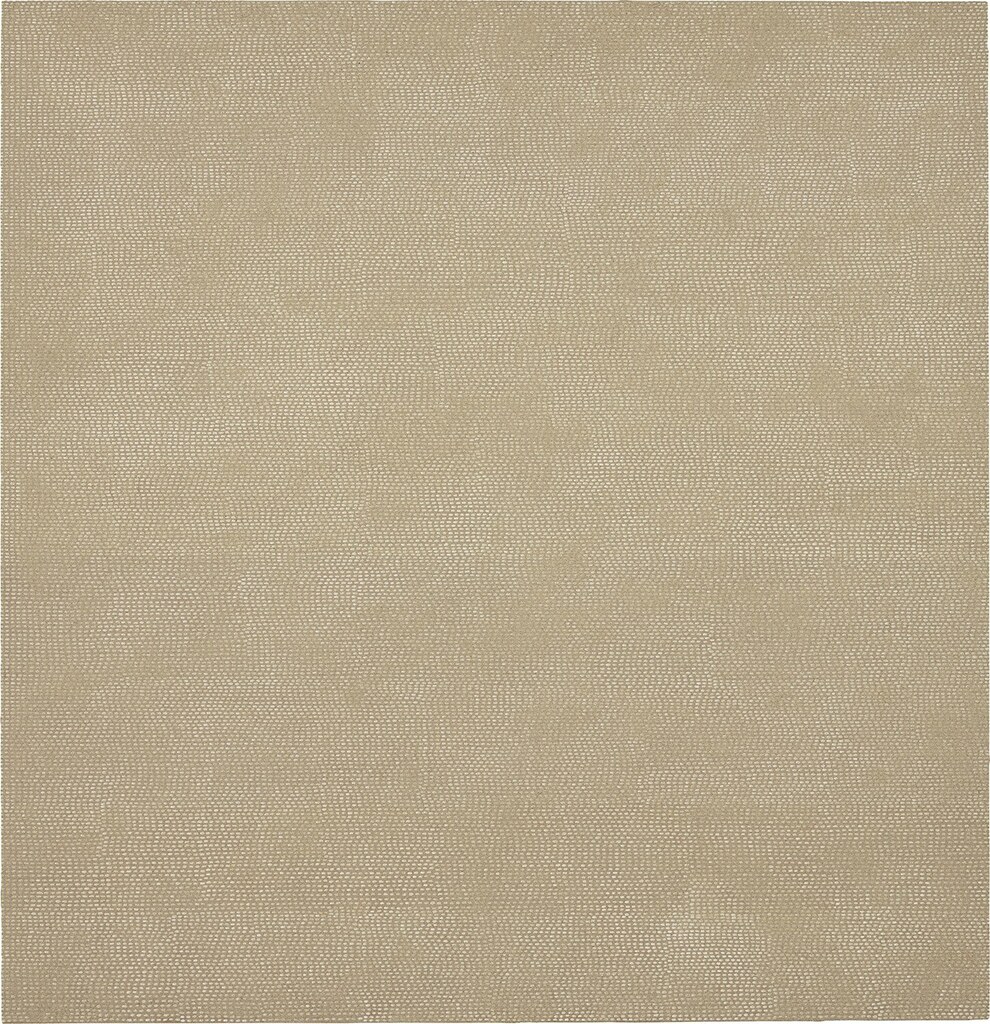 Untitled (Field #4 Sand)