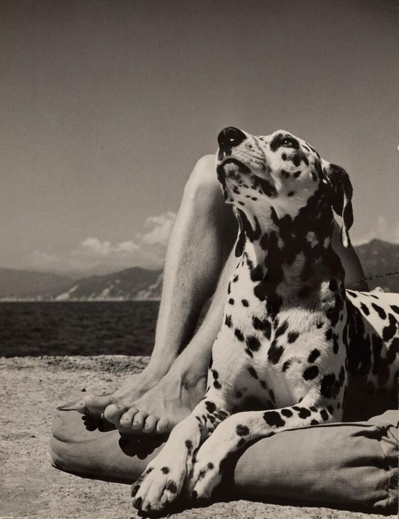 Herr und Hund (Master and Dog), Portofino, Italy