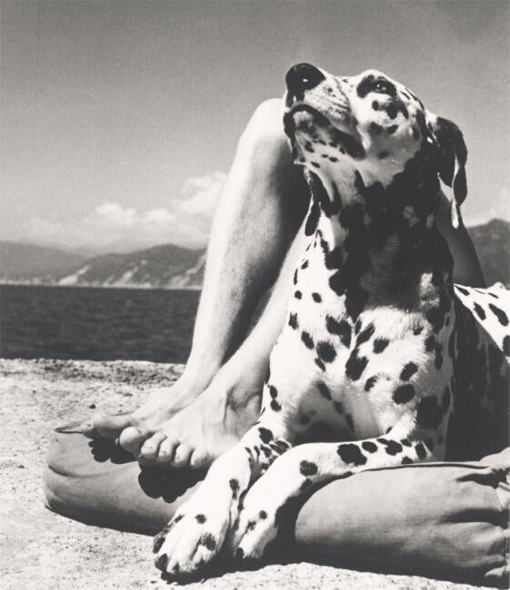 Herr und Hund, Portofino