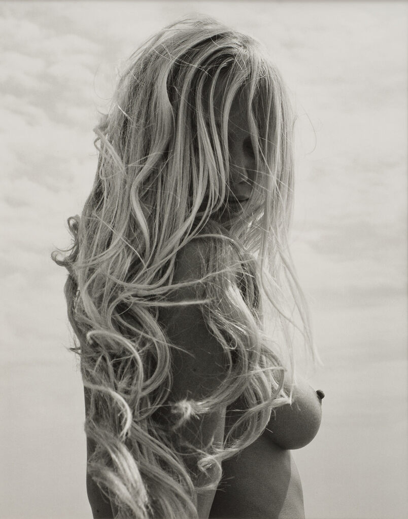 Mermaid 128, Aripeka, FL