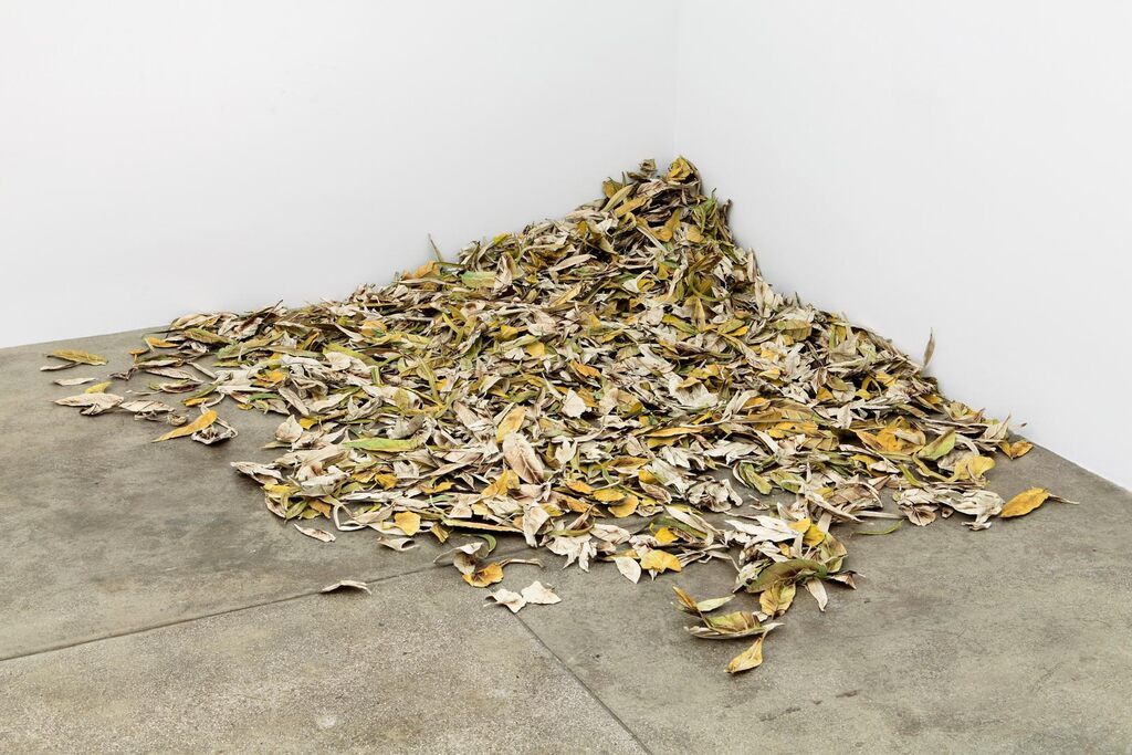 Gutter Leaves, Pasadena
