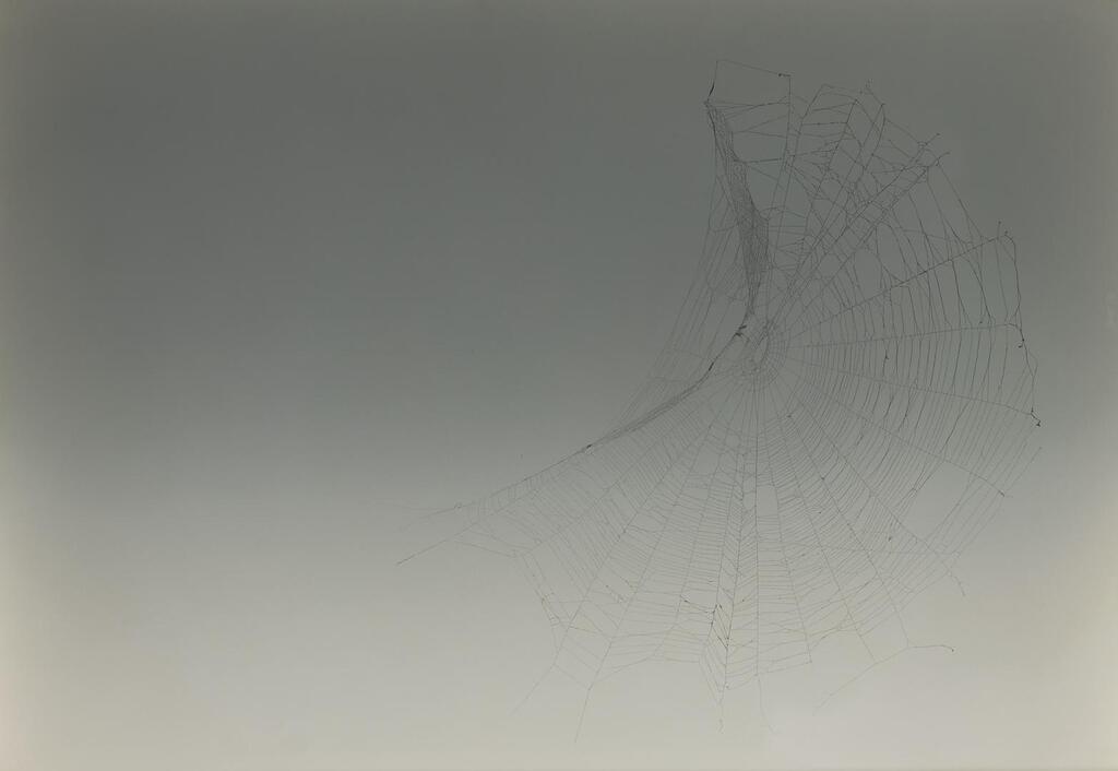 Web sampler #108