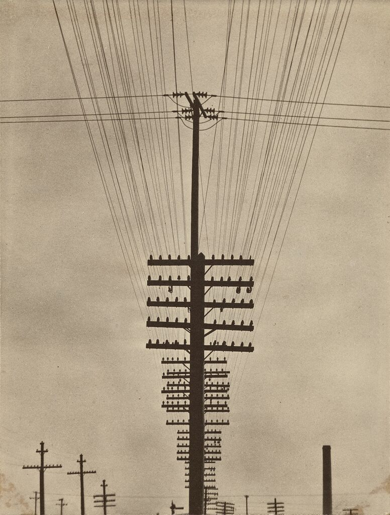 Telegraph Wires