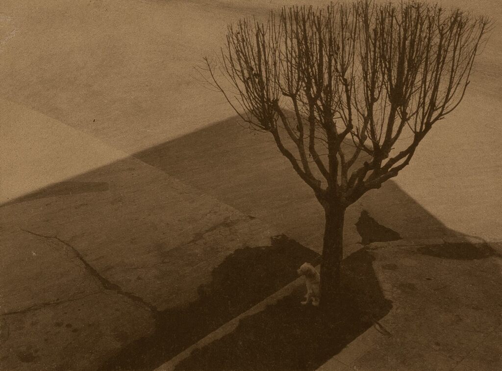 Untitled (Mexico City)