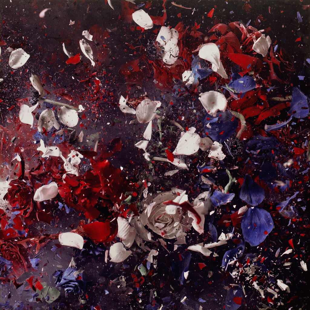 Blow Up, Untitled 11