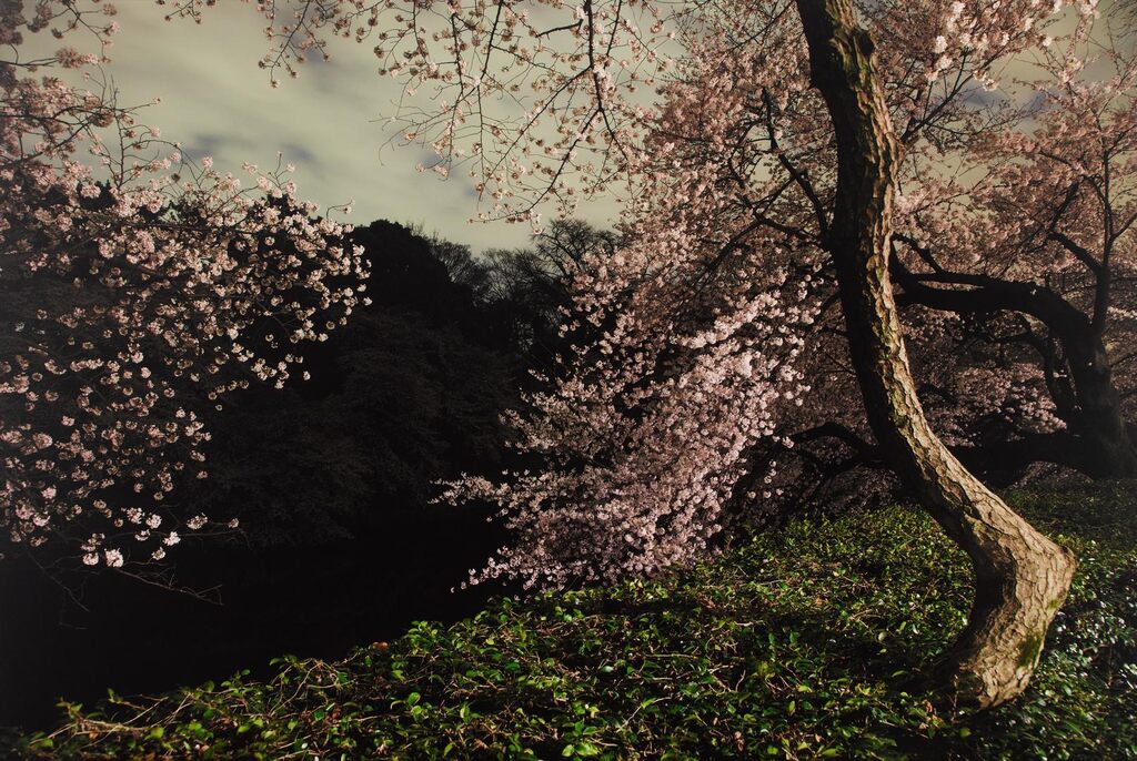 Tokyo Imperial Memories, After Dark (from Chasing Good Fortune)