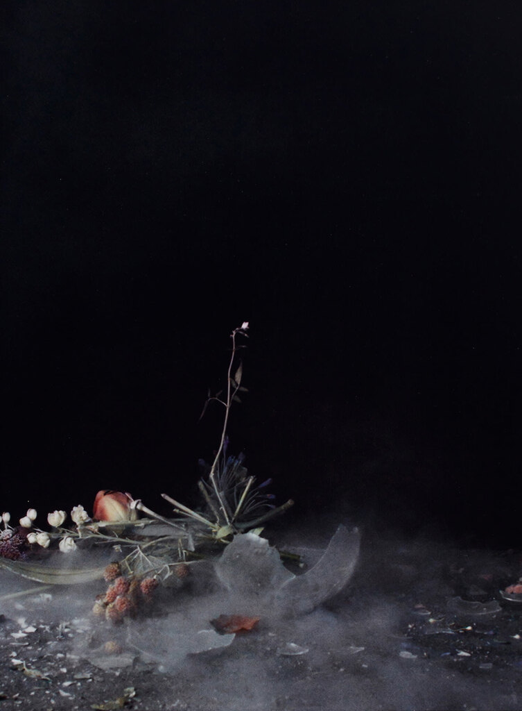 Untitled 10 from Time After Time: Exploding Flower & Other Matters