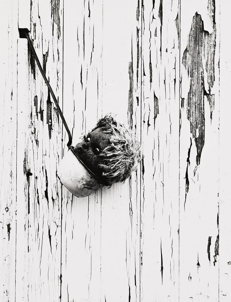 Doll's head
