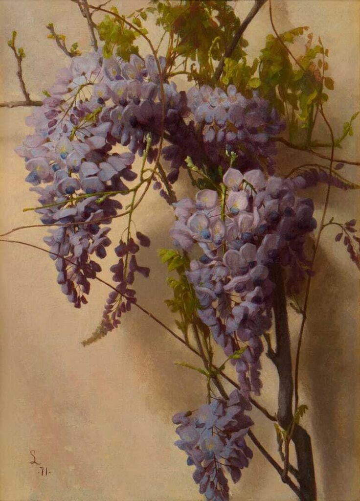 Wisteria on a Wall