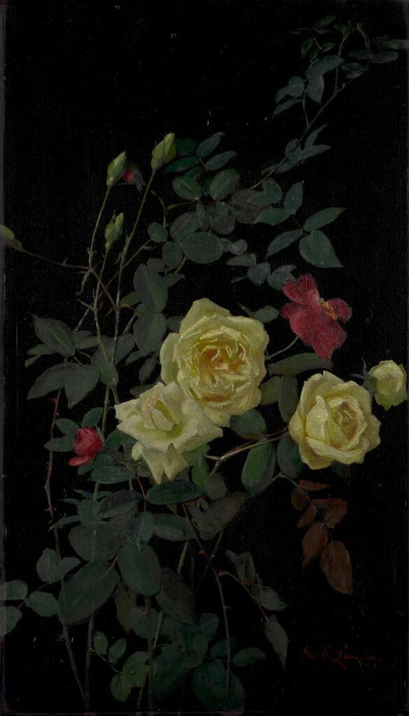 Roses