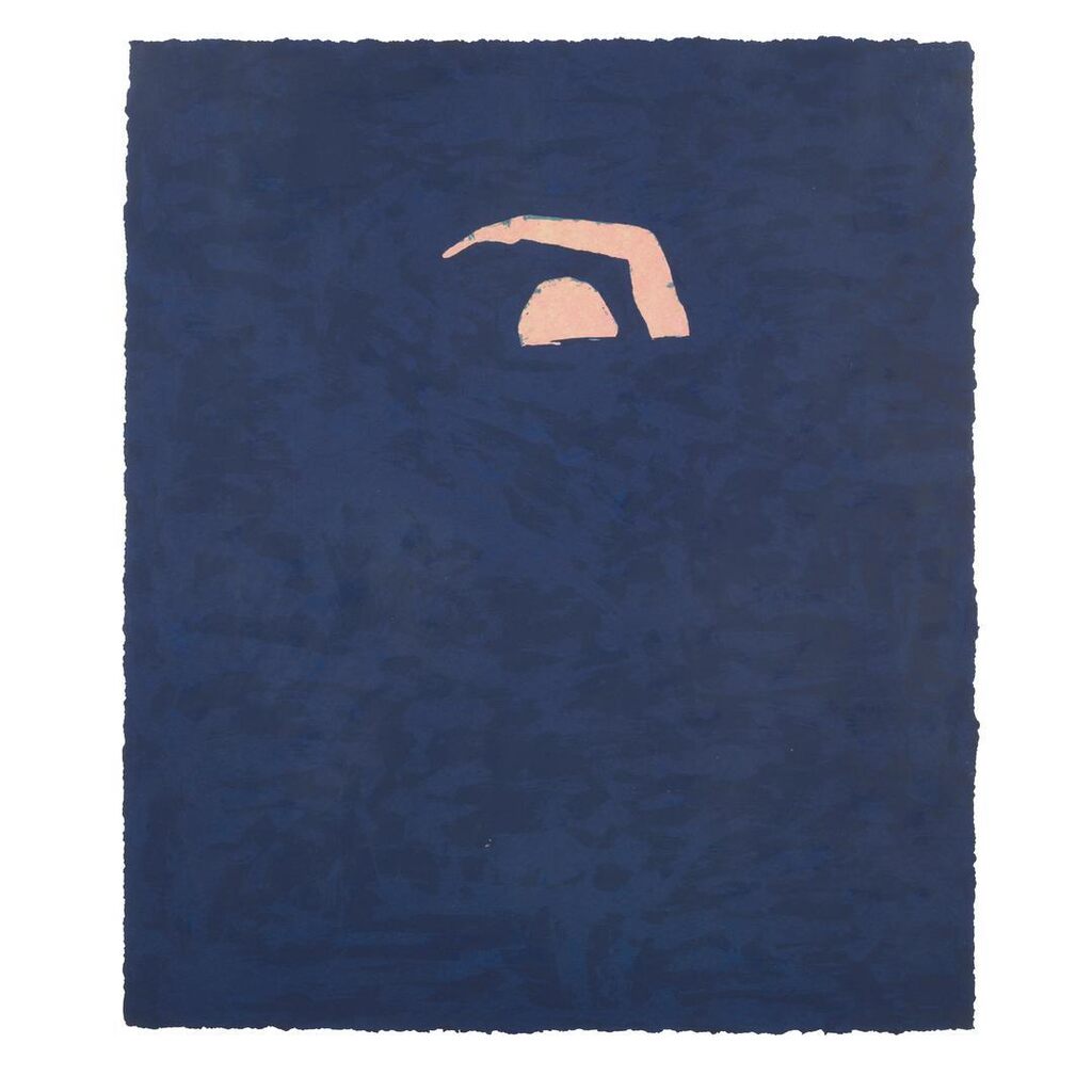 Swimmer