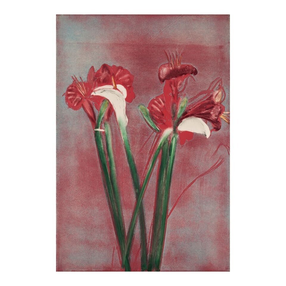 Amaryllis/Calla II