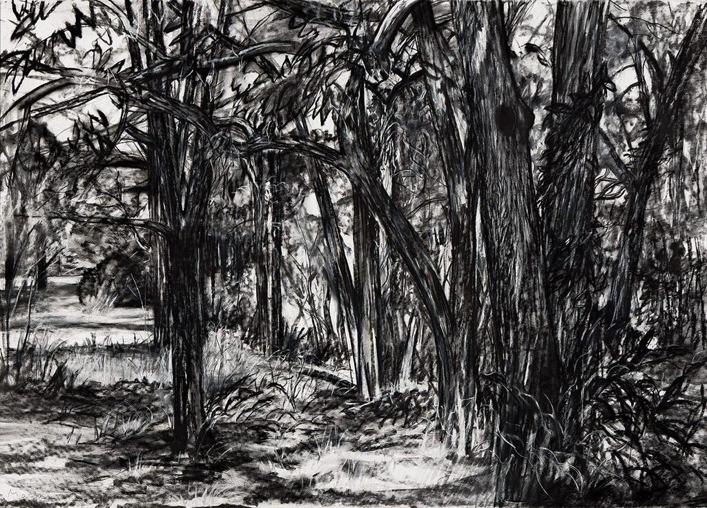 The Edge of the Woods