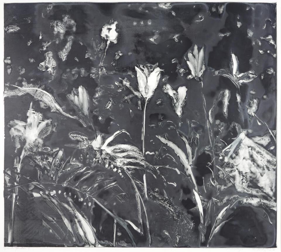 Dark Garden 4